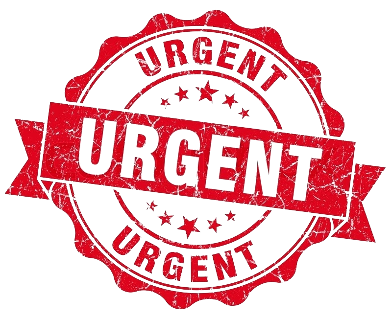  annonce 9FF